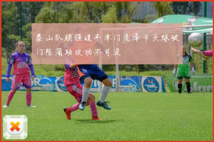 泰山队顽强追平津门虎泽卡头球破门陈蒲助攻功不可没