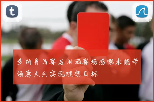 多纳鲁马赛后泪洒赛场感慨未能带领意大利实现理想目标