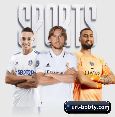 BOB体育 APP 深度功能 | BOBSPORTS