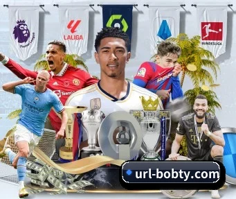 BOB体育 APP 界面 - BOBSPORTS